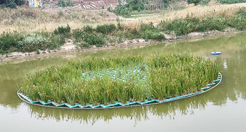 河道治理污水處理設(shè)備現(xiàn)場